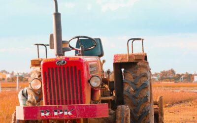 Exposition à Marcinelle. De la ferme à la table, une immersion dans le monde agricole