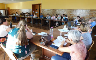 L’institution provinciale, coordinatrice des acteurs de terrain autour des problématiques liées aux violences intrafamiliales