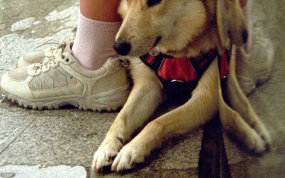 Sans-abrisme et violence de genre : sortir les femmes de l’invisibilité