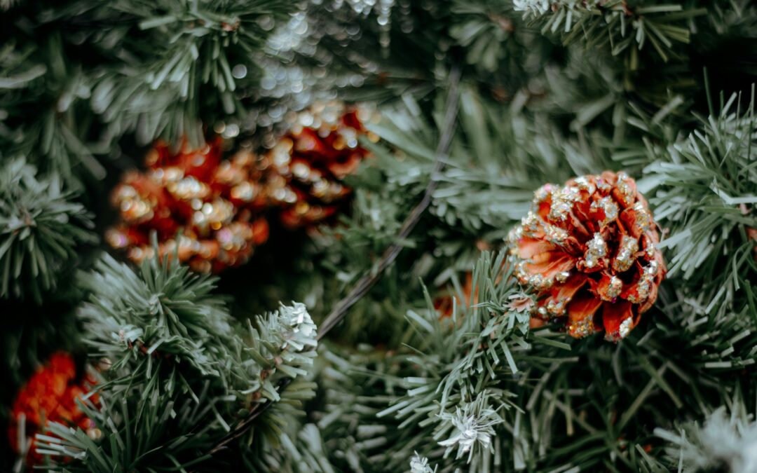 Fête de Noël 2025 au Centre Arthur Regniers