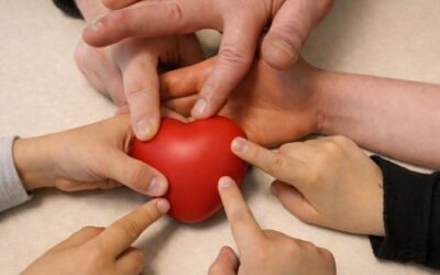 À vos votes pour soutenir l&rsquo;école fondamentale : « Petites mains et grands cœurs » à Marcinelle