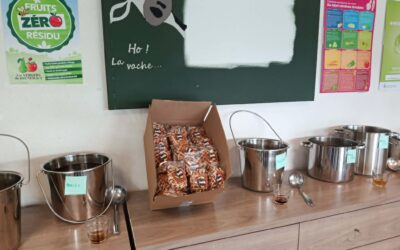 La Louvière. Goûter Bio à l&rsquo;IMP René Thône